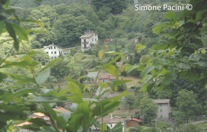 LAGACCI: IL PAESE 1' IMMAGINE